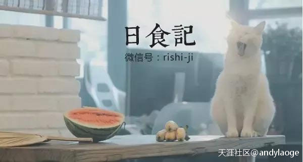 辦辦學(xué)苑：如何運(yùn)用短視頻平臺(tái)？短視頻運(yùn)營的玩法有什么？