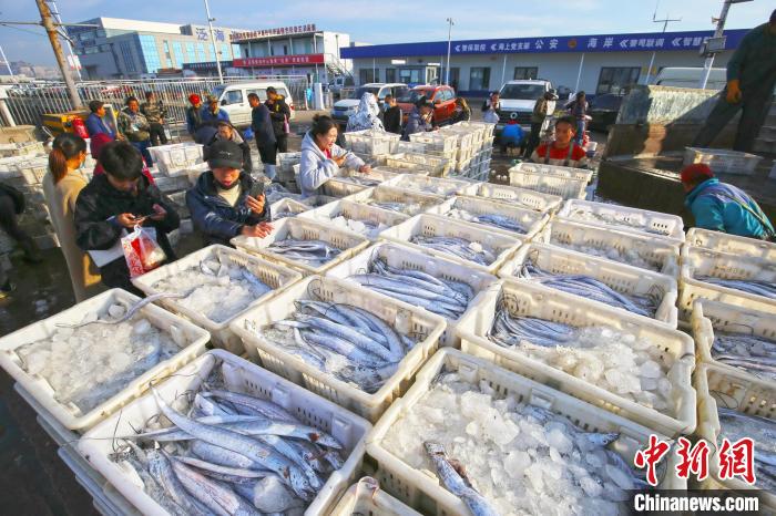圖為漁民在日照黃海中心漁港挑揀、分裝海鮮。　薄林 攝